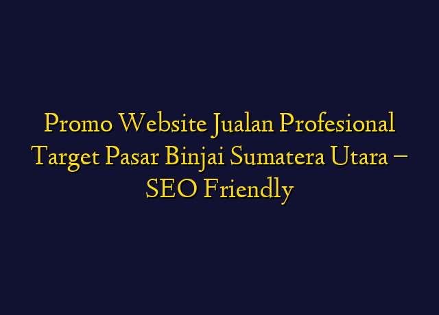 Promo Website Jualan Profesional Target Wilayah Binjai Sumatera Utara - SEO Friendly
