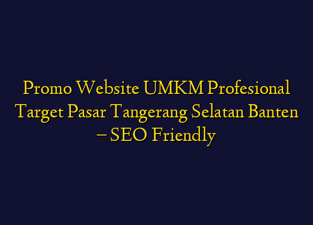 Promo Website UMKM Profesional Target Wilayah Tangerang Selatan Banten - SEO Friendly