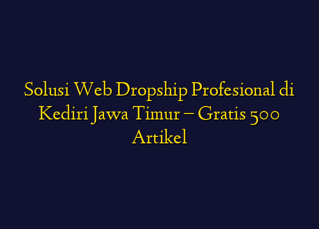 Solusi Web Dropship Profesional di Kediri Jawa Timur - Gratis 500 Artikel