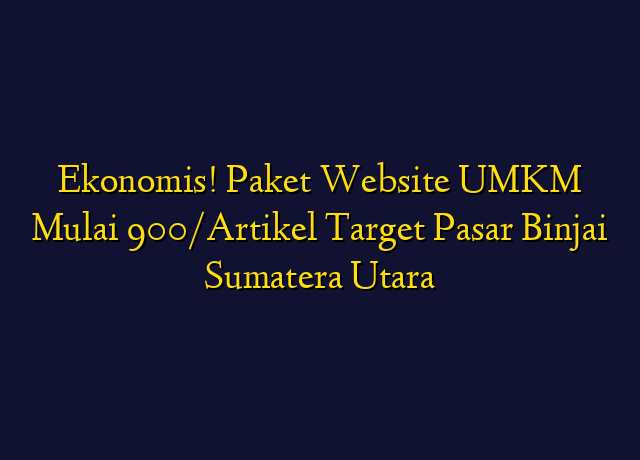 Ekonomis! Paket Website UMKM Mulai 900/Artikel Target Wilayah Binjai Sumatera Utara