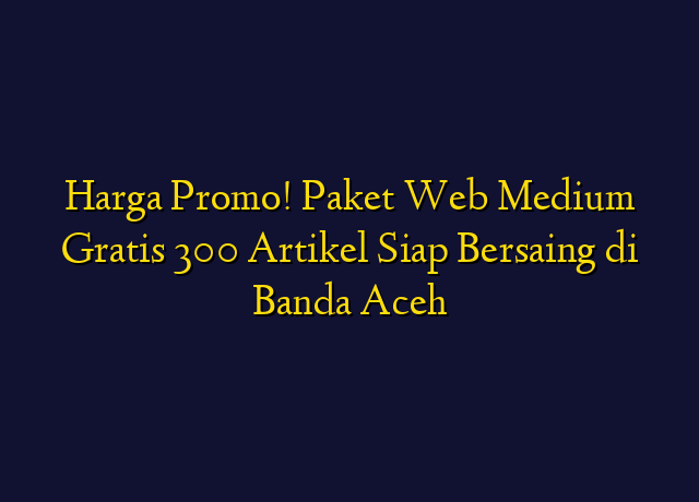 Harga Promo! Paket Web Medium Gratis 300 Artikel Siap Bersaing di Banda Aceh