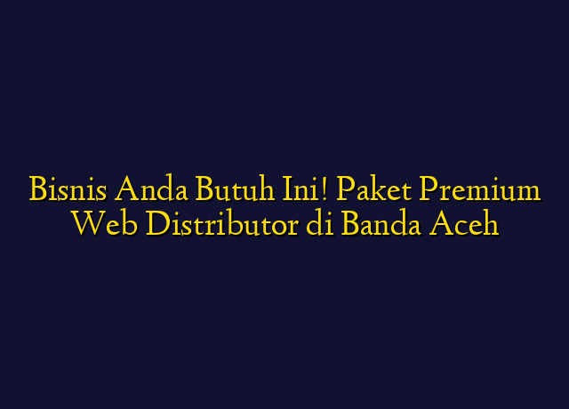 Bisnis Anda Butuh Ini! Paket Premium Web Distributor di Banda Aceh