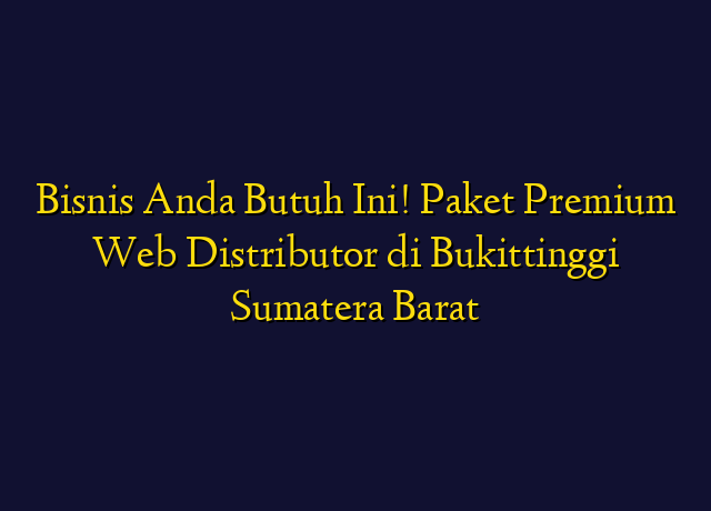 Bisnis Anda Butuh Ini! Paket Premium Web Distributor di Bukittinggi Sumatera Barat
