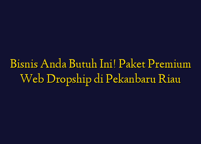 Bisnis Anda Butuh Ini! Paket Premium Web Dropship di Pekanbaru Riau