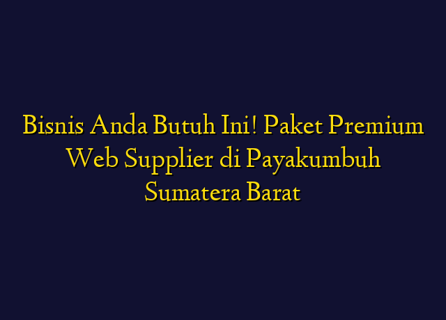 Bisnis Anda Butuh Ini! Paket Premium Web Supplier di Payakumbuh Sumatera Barat