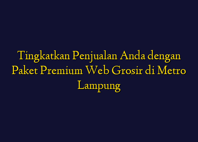 Tingkatkan Penjualan Anda dengan Paket Premium Web Grosir di Metro Lampung